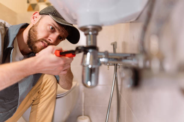 Best Commercial Plumbing Services  in Grand Ledge, MI