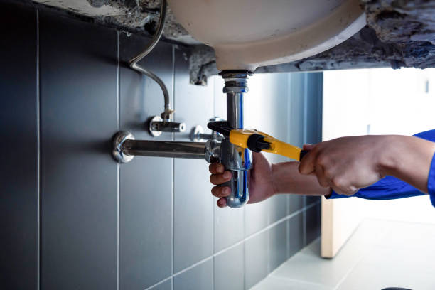 Best Residential Plumbing Services  in Grand Ledge, MI